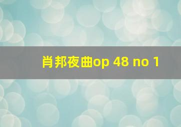 肖邦夜曲op 48 no 1